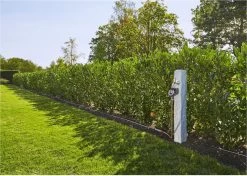 GARDENA - Besproeiingscomputer Flex - Geen App Vereist 20 GARDENA - Besproeiingscomputer Flex - Geen App Vereist -Tuin Gerelateerd 1200x856 3