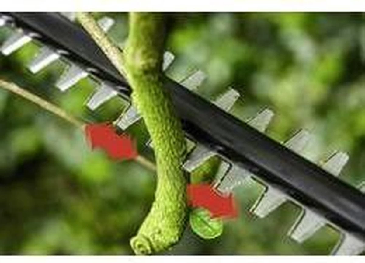 Bosch UniversalHedgePole 18 Steel Heggenschaar - 43 Cm Meslengte - Zonder 18 V Accu En Oplader 16 Bosch UniversalHedgePole 18 Steel Heggenschaar - 43 Cm Meslengte - Zonder 18 V Accu En Oplader - Afbeelding 14