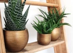 Capi Europe - Bloempot Bol Retro - 23x21 - Goud - Bloempot Voor Binnen - BRTG134 -Tuin Gerelateerd 1200x876 3