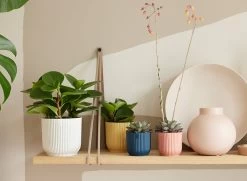 Elho Vibes Fold Rond Wielen 35 - Bloempot Voor Binnen - Ø 34.9 X H 32.4 Cm - Zijdewit -Tuin Gerelateerd 1200x879 6