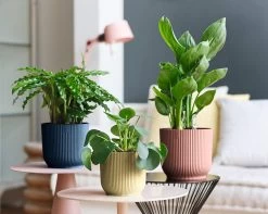 Elho Vibes Fold Rond Wielen 35 - Bloempot Voor Binnen - Ø 34.9 X H 32.4 Cm - Diepblauw -Tuin Gerelateerd 1200x956 4