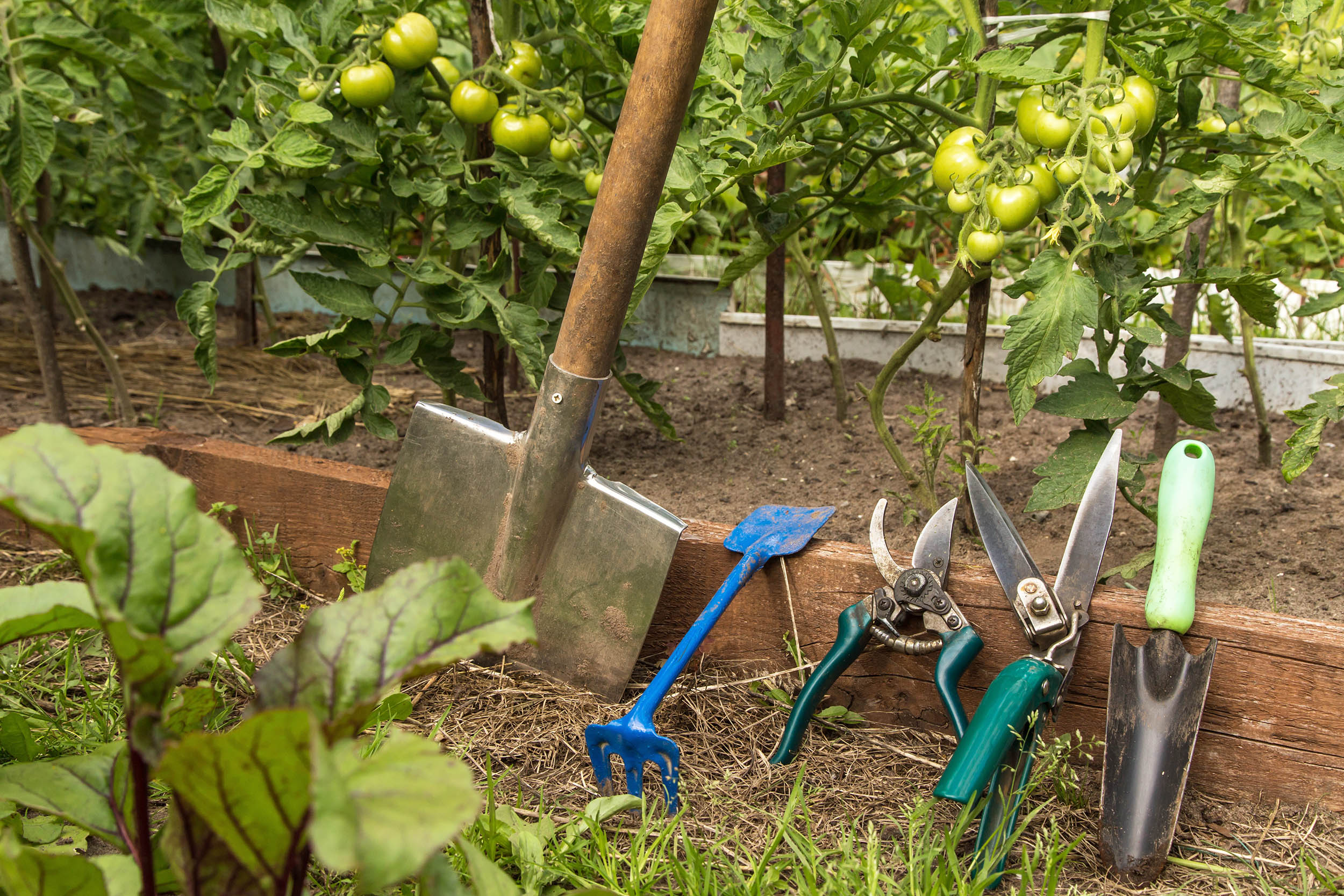 Tuin Gerelateerd -Tuin Gerelateerd 1698660371 adobestock 627863745 tuingereedschap