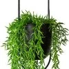 Be-Inspired® Hangende Bloempot Ovaal - Bloempot Binnen - Voor Hangplant – Plant Bloem Pot Met Opknoping – Plantenhanger - Plantenbak - Industrieel – Scandinavisch - Metaal - Zwart -Tuin Gerelateerd 314x1200