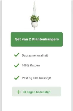 Merkloos Plantenhanger Macramé - Luxe Gevlochten Touw Katoen - 2 Stuks - Plantenpot Ophangen 15 Merkloos Plantenhanger Macramé - Luxe Gevlochten Touw Katoen - 2 Stuks - Plantenpot Ophangen -Tuin Gerelateerd 786x1200 4