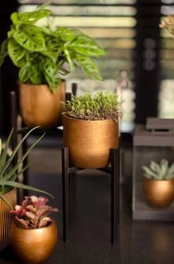 Capi Europe - Bloempot Bol Retro - 23x21 - Goud - Bloempot Voor Binnen - BRTG134 -Tuin Gerelateerd 792x1200 2