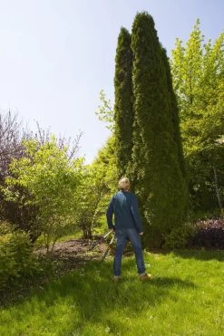 GARDENA TeleCut Heggenschaar - Telescopische Handgrepen Van 70-90 Cm -Tuin Gerelateerd 799x1200 18