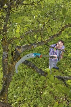 GARDENA Combisysteem Snoeizaag 300PP Curved Takkenzaag - Meslengte 315 Mm - Exclusief Verlengstok -Tuin Gerelateerd 799x1200 8