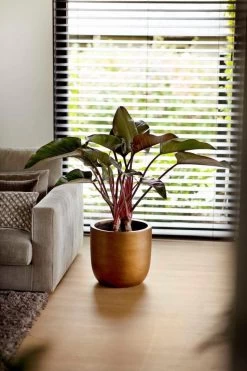 Capi Europe - Bloempot Bol Retro - 23x21 - Goud - Bloempot Voor Binnen - BRTG134 -Tuin Gerelateerd 800x1200 101