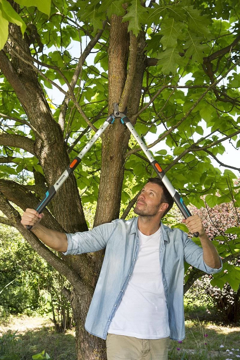 Gardena TeleCut Takkenschaar 650-900 B - Uitschuifbare Armen - Tot Max 90 Cm 5 Gardena TeleCut Takkenschaar 650-900 B - Uitschuifbare Armen - Tot Max 90 Cm - Afbeelding 3