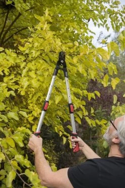 Kreator KRTGR4013 Telescopische Takkenschaar - 63-89 Cm Totale Lengte - . Ø39 Mm Knipdiameter -Tuin Gerelateerd 800x1200 17