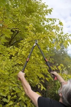 Kreator KRTGR4003 Telescopische Takkenschaar – Jong Hout - Knipdiameter: Ø34 Mm 9 Kreator KRTGR4003 Telescopische Takkenschaar – Jong Hout - Knipdiameter: Ø34 Mm -Tuin Gerelateerd 800x1200 18