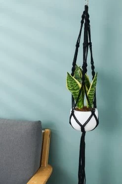 4 Stuks Zwarte Macrame Plantenhangers - Boho Handgeweven Katoen Hangpot Voor Binnen/Buiten - Hangende Bloempot Met Kralen - Macramé Touw/Koord Hangplant Houder - Bohemian Wandhanger Decoratie - Plant Hanger - Verticale Tuin Bloempothouder Planthanger -Tuin Gerelateerd 800x1200 99