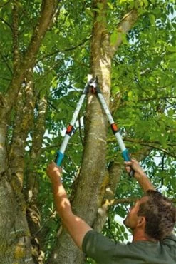 Gardena TeleCut Takkenschaar 650-900 B - Uitschuifbare Armen - Tot Max 90 Cm 26 Gardena TeleCut Takkenschaar 650-900 B - Uitschuifbare Armen - Tot Max 90 Cm -Tuin Gerelateerd 801x1200 2