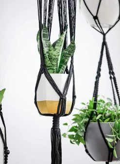 4 Stuks Luxe Macrame Plantenhangers - Boho Handgeweven Katoen Hangpot Voor Binnen/Buiten - Hangende Bloempot Met Kralen - Macramé Touw/Koord Hangplant Houder - Bohemian Wandhanger Decoratie - Plant Hanger - Verticale Tuin Bloempothouder Planthanger 14 4 Stuks Luxe Macrame Plantenhangers - Boho Handgeweven Katoen Hangpot Voor Binnen/Buiten - Hangende Bloempot Met Kralen - Macramé Touw/Koord Hangplant Houder - Bohemian Wandhanger Decoratie - Plant Hanger - Verticale Tuin Bloempothouder Planthanger -Tuin Gerelateerd 880x1200 5