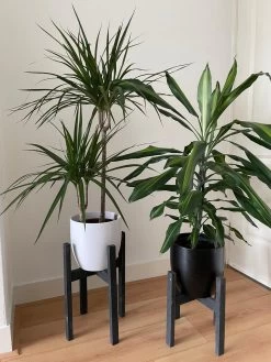 Plantenstandaard Binnen - Set Van 2 - Diameter Tot 24 Cm - Plantenkruk - Bloempotten Voor Binnen - Plantentafeltje Voor Binnen - Bloempot Standaard - Plantenstandaard - Hout - Mat Zwart/Donkergrijs -Tuin Gerelateerd 900x1200 16